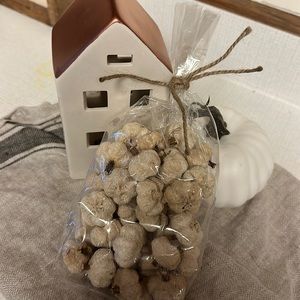 Natural Dried Pumpkin Pods (Peepal pods)